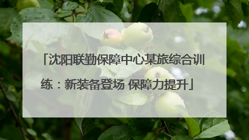 沈阳联勤保障中心某旅综合训练：新装备登场 保障力提升