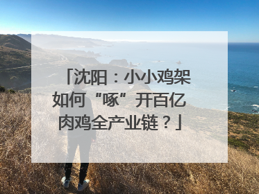 沈阳：小小鸡架如何“啄”开百亿肉鸡全产业链？