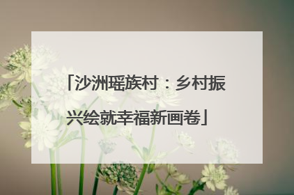 沙洲瑶族村：乡村振兴绘就幸福新画卷