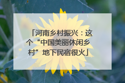 河南乡村振兴：这个“中国美丽休闲乡村”地下民宿很火