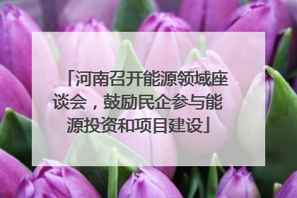 河南召开能源领域座谈会，鼓励民企参与能源投资和项目建设