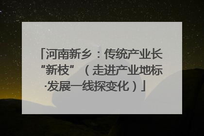 河南新乡：传统产业长“新枝”（走进产业地标·发展一线探变化）