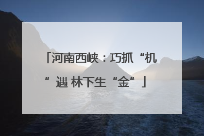 河南西峡：巧抓“机”遇 林下生“金”