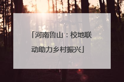 河南鲁山：校地联动助力乡村振兴