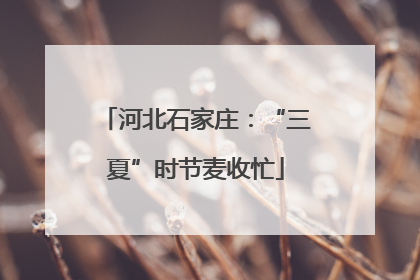河北石家庄：“三夏”时节麦收忙