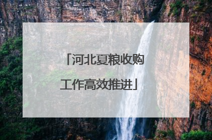 河北夏粮收购工作高效推进