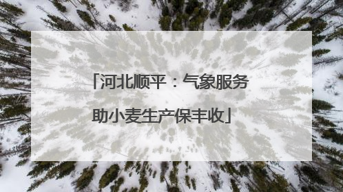 河北顺平：气象服务助小麦生产保丰收