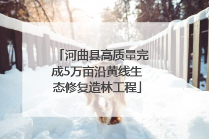 河曲县高质量完成5万亩沿黄线生态修复造林工程