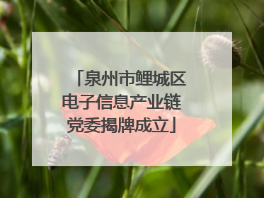 泉州市鲤城区电子信息产业链党委揭牌成立