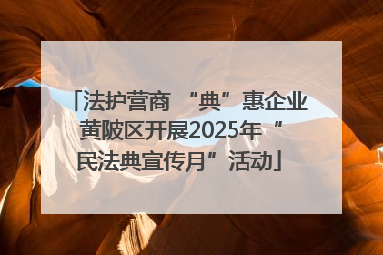 法护营商 “典”惠企业 黄陂区开展2025年“民法典宣传月”活动