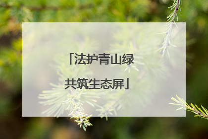 法护青山绿 共筑生态屏