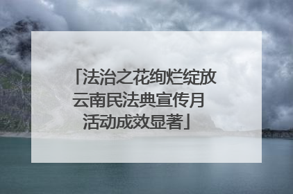 法治之花绚烂绽放 云南民法典宣传月活动成效显著