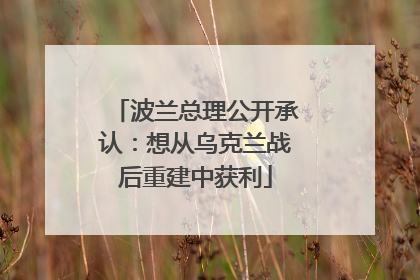 波兰总理公开承认：想从乌克兰战后重建中获利