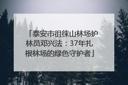 泰安市徂徕山林场护林员邓兴法：37年扎根林场的绿色守护者