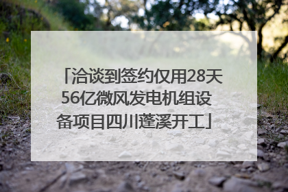 洽谈到签约仅用28天 56亿微风发电机组设备项目四川蓬溪开工