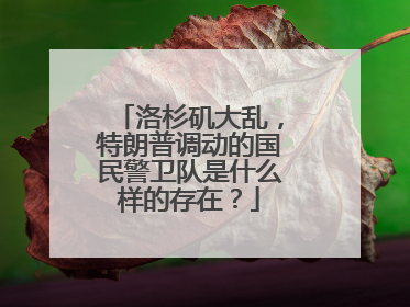 洛杉矶大乱，特朗普调动的国民警卫队是什么样的存在？