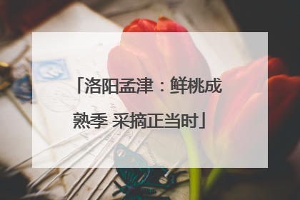 洛阳孟津：鲜桃成熟季 采摘正当时