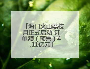 海口火山荔枝月正式启动 订单额（预售）4.11亿元