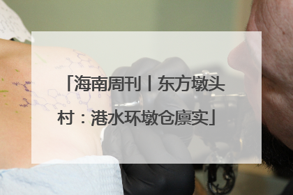 海南周刊丨东方墩头村：港水环墩仓廪实