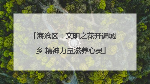 海沧区：文明之花开遍城乡 精神力量滋养心灵