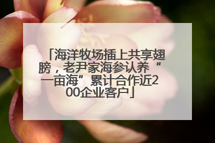 海洋牧场插上共享翅膀，老尹家海参认养“一亩海”累计合作近200企业客户
