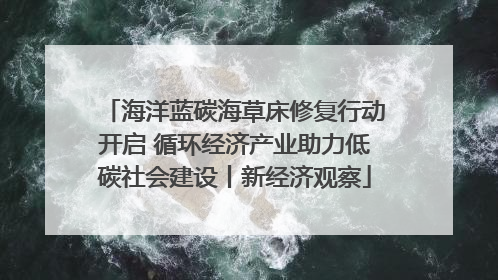 海洋蓝碳海草床修复行动开启 循环经济产业助力低碳社会建设丨新经济观察