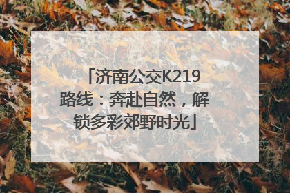 济南公交K219路线：奔赴自然，解锁多彩郊野时光
