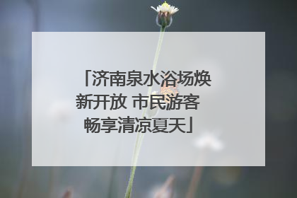 济南泉水浴场焕新开放 市民游客畅享清凉夏天