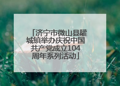 济宁市微山县驩城镇举办庆祝中国共产党成立104周年系列活动
