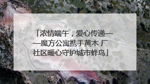 浓情端午，爱心传递——魔方公寓携手黄木 厂社区暖心守护城市蜂鸟