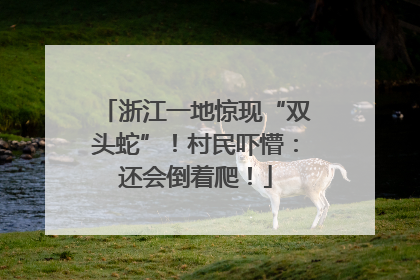 浙江一地惊现“双头蛇”！村民吓懵：还会倒着爬！