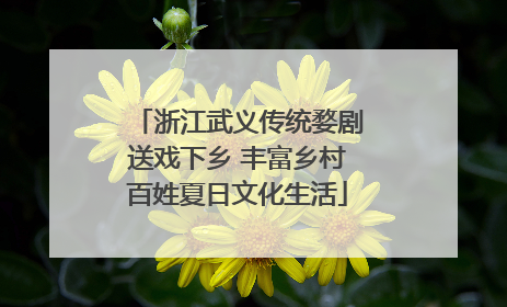 浙江武义传统婺剧送戏下乡 丰富乡村百姓夏日文化生活