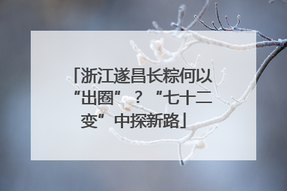 浙江遂昌长粽何以“出圈”？“七十二变”中探新路