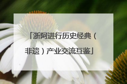 浙阿进行历史经典（非遗）产业交流互鉴