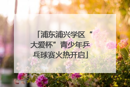 浦东浦兴学区“大爱杯”青少年乒乓球赛火热开启