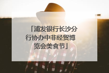 浦发银行长沙分行协办中非经贸博览会美食节
