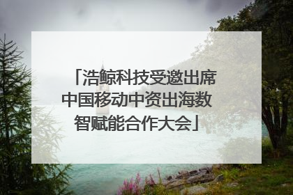 浩鲸科技受邀出席中国移动中资出海数智赋能合作大会