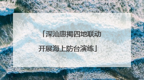 深汕惠揭四地联动开展海上防台演练