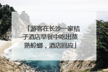 游客在长沙一家桔子酒店早餐中吃出蒸熟蟑螂，酒店回应