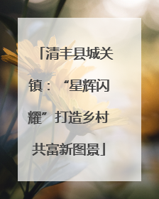 清丰县城关镇：“星辉闪耀”打造乡村共富新图景