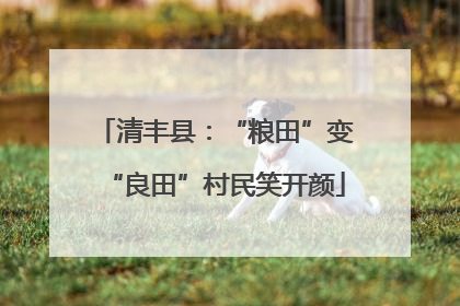 清丰县：“粮田”变“良田”村民笑开颜