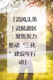 清风头条｜武陵源区：聚焦发力推动“三化”建设年行动