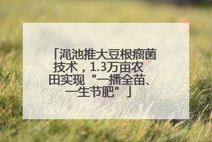 渑池推大豆根瘤菌技术，1.3万亩农田实现“一播全苗、一生节肥”