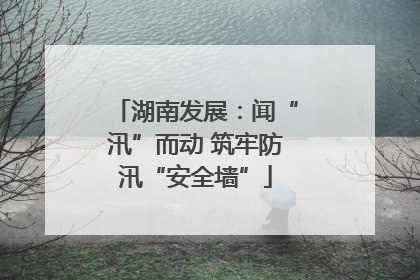 湖南发展：闻“汛”而动 筑牢防汛“安全墙”