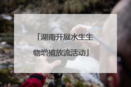 湖南开展水生生物增殖放流活动