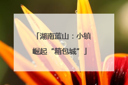 湖南蓝山：小镇崛起“箱包城”