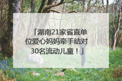 湖南21家省直单位爱心妈妈牵手结对30名流动儿童！
