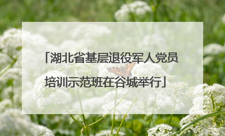 湖北省基层退役军人党员培训示范班在谷城举行