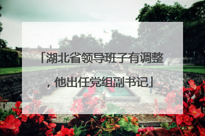 湖北省领导班子有调整，他出任党组副书记