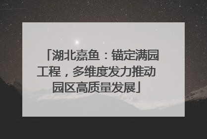 湖北嘉鱼：锚定满园工程，多维度发力推动园区高质量发展